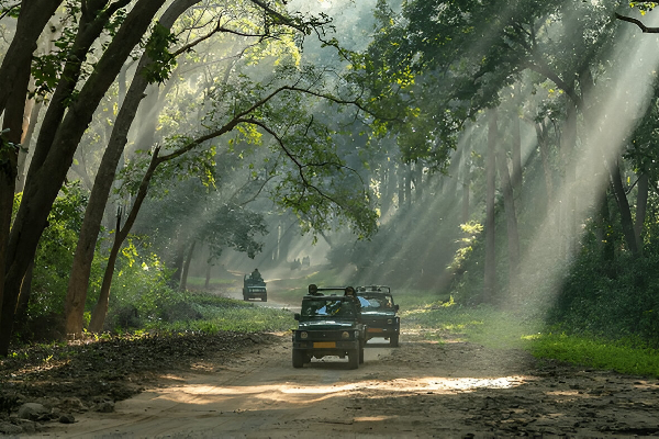 About Jim Corbett Park